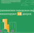 14 дворов комплексно благоустроят в Пушкинском округе в этом году - Министерство по содержанию территорий и жилнадзору