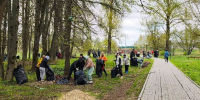 Единороссы и их сторонники выйдут на общеобластной субботник в Подмосковье - РТВ-Подмосковье