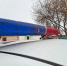 ДТП с автобусом и фурой под Гатчиной: что известно - MosRegToday.Ru