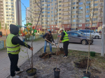 Члены Общественной палаты приняли участие в общегородском субботнике