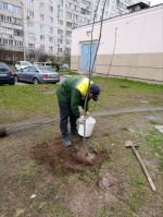 Члены Общественной палаты приняли участие в общегородском субботнике