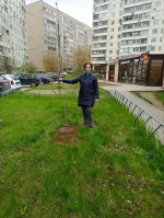 Члены Общественной палаты приняли участие в общегородском субботнике