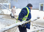 В Пушкине последствия снегопада ликвидируют около 460 человек