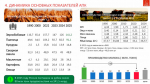 Программа Победы КПРФ - ключ к успеху в выборной кампании 2026 г.