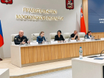 В Общественной палате Московской области обсудили проблему семейного киднеппинга и право ребёнка на общение с обоими родителями