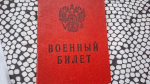 Очередной визовый барьер: ЕС может еще больше ужесточить въезд россиянам