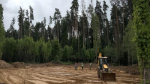 Благоустройство Масловского лесопарка в Одинцове завершат осенью 2026 года