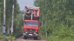 Штрафы за вред природе: в Рузском округе наказали двух нарушителей